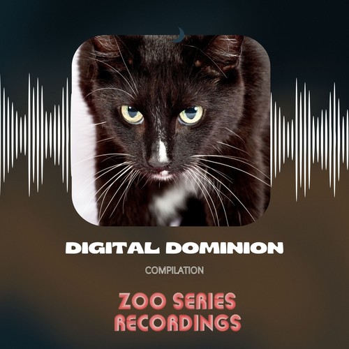 Digital Dominion