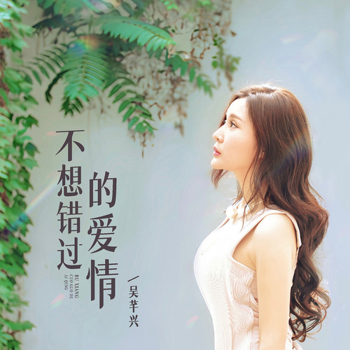 不想错过的爱情