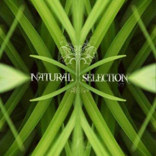 Natural Selection V.2