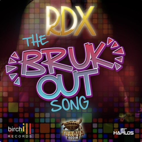 The Bruk out Song