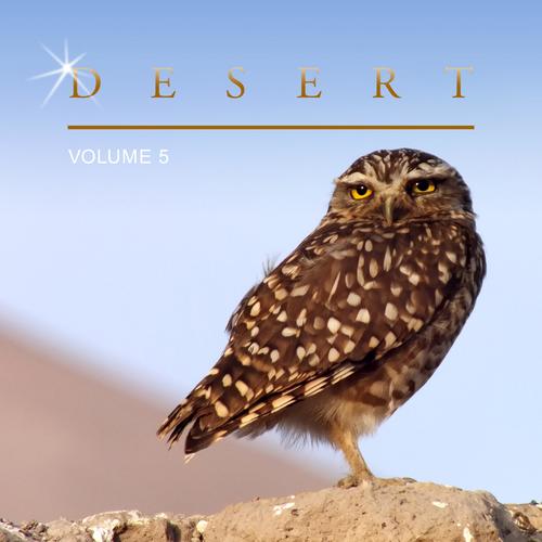 Desert, Vol. 5