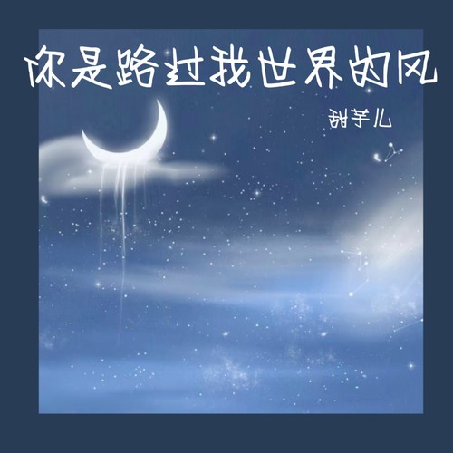 你是路过我世界的风