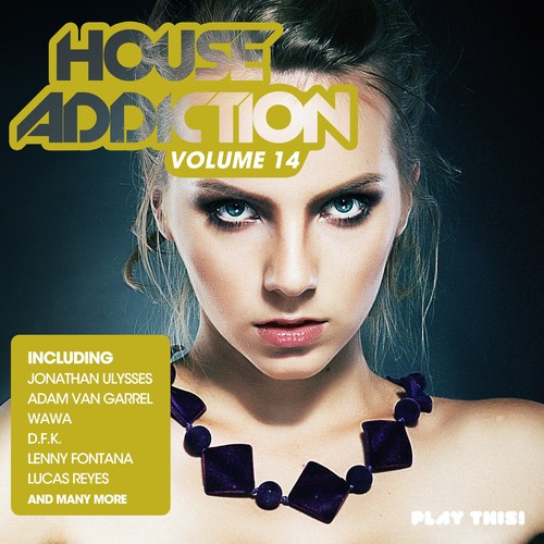 House Addiction, Vol. 14