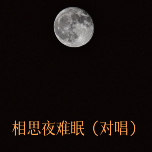 相思夜难眠（对唱）