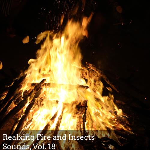 Realxing Fire and Insects Sounds, Vol. 18