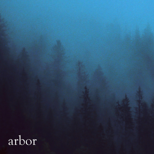 Arbor (Extended Mixes)