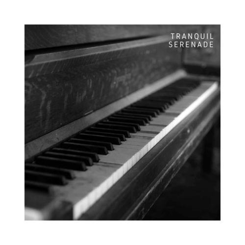 Tranquil Serenade: Calm Instrumental Piano