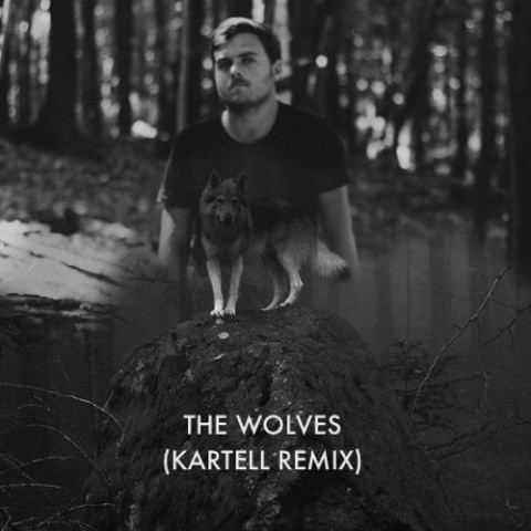 The Wolves (Kartell Remix)