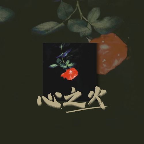 心之火