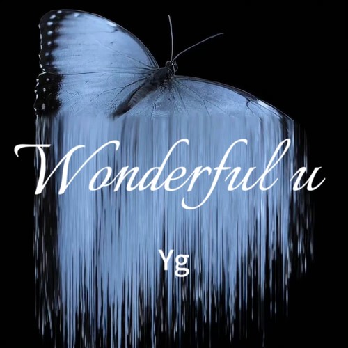 wonderful u (x1.14氛围版)