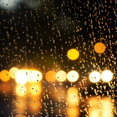 Gotas De Lluvia: Una Eufonía Natural