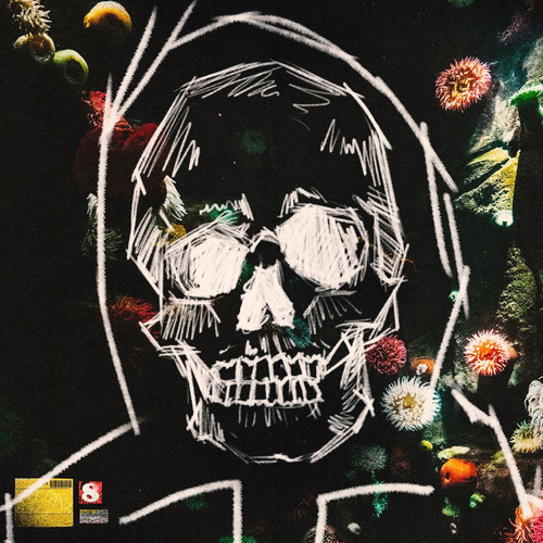 Ocean (Explicit)