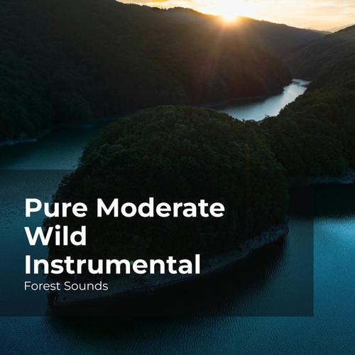 Pure Moderate Wild Instrumental