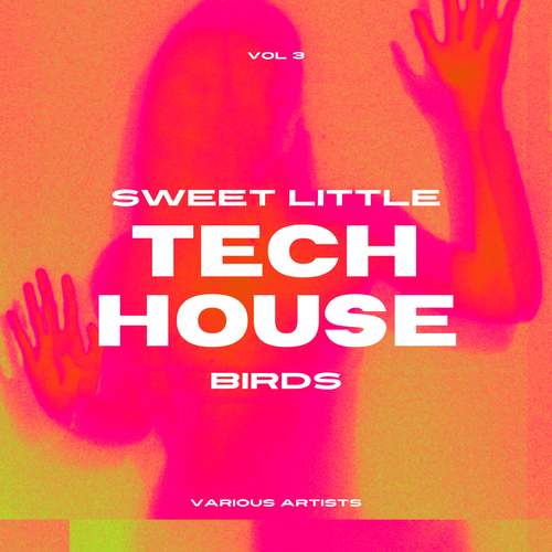 Sweet Little Tech House Birds, Vol. 3 (Explicit)