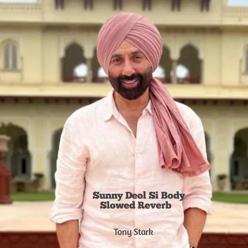 Sunny Deol Si Body (Slowed Reverb)