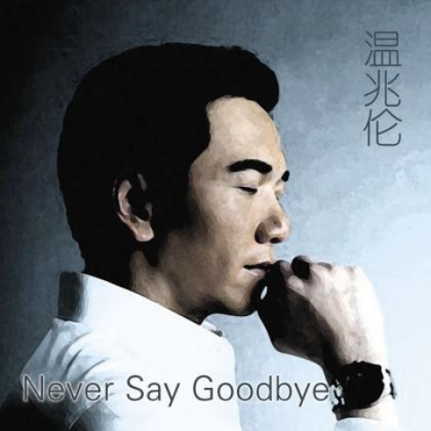 Never Say Goodbye