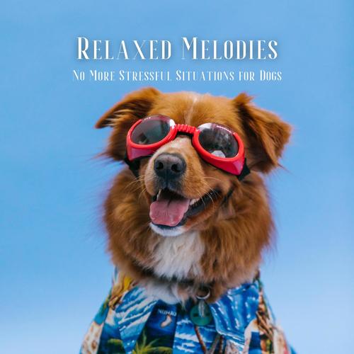 Relaxed Melodies: No More Stressful Situations for Dogs