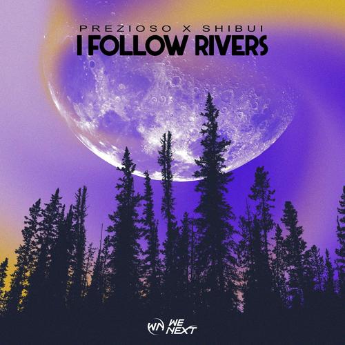 I Follow Rivers (Extended Mix)