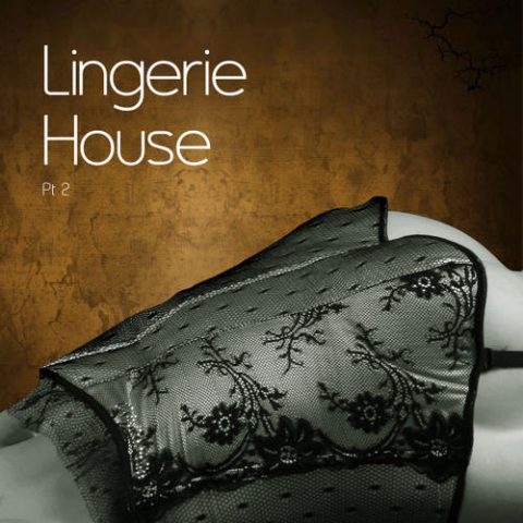 Lingerie House Vol 2