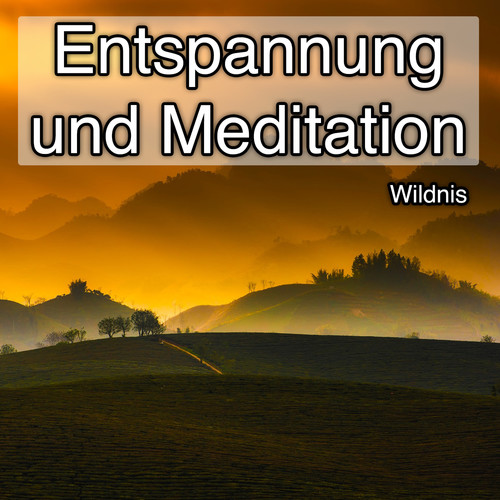 Entspannung und Meditation - Wildnis