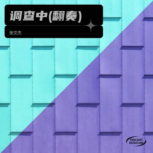 调查中(翻奏)
