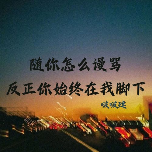 随你怎么谩骂 反正你始终在我脚下