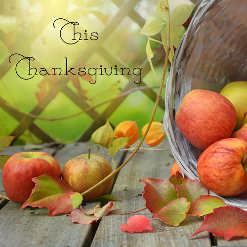 This Thanksgiving