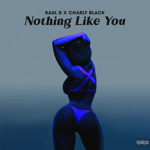 Nothing Like You (Explicit)