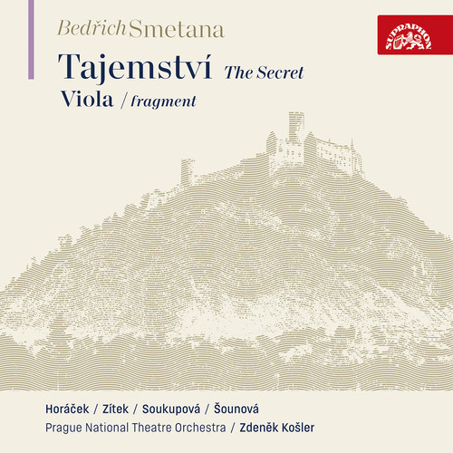 The Secret and Viola (fragment)