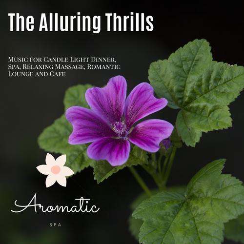 The Alluring Thrills (Music For Candle Light Dinner, Spa, Relaxing Massage, Romantic Lounge And Cafe)