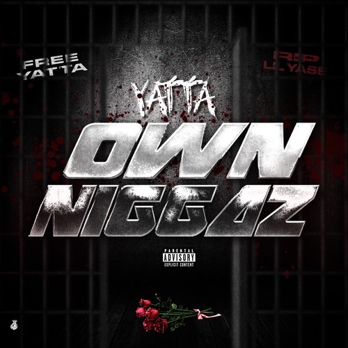 Own Niggaz (Explicit)