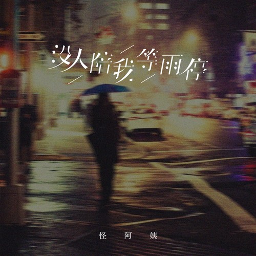 没人陪我等雨停（DJ黄成成版）