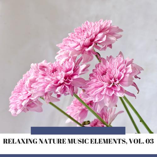 Relaxing Nature Music Elements, Vol. 03