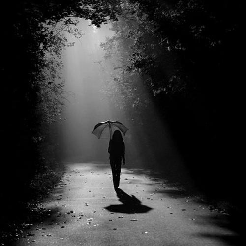 Shadows