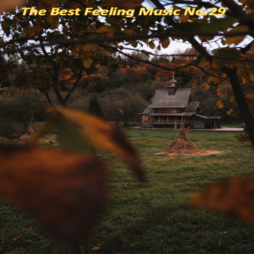 The Best Feeling Music No.29