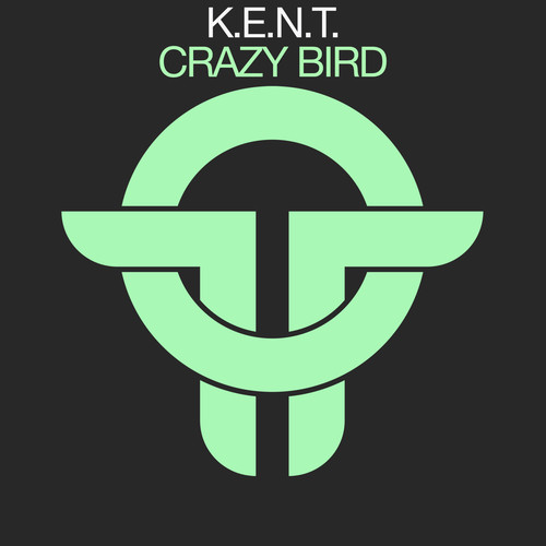 Crazy Bird