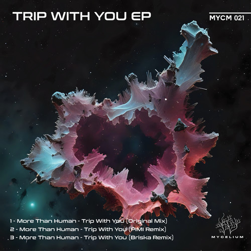 Trip With You (PIMI Remix)