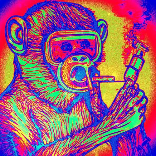 MONKEYSONACID (feat. C80MIDNIGHT & TOFUU) [Explicit]