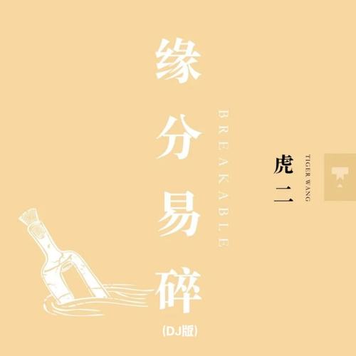 缘分易碎 (DJ版)