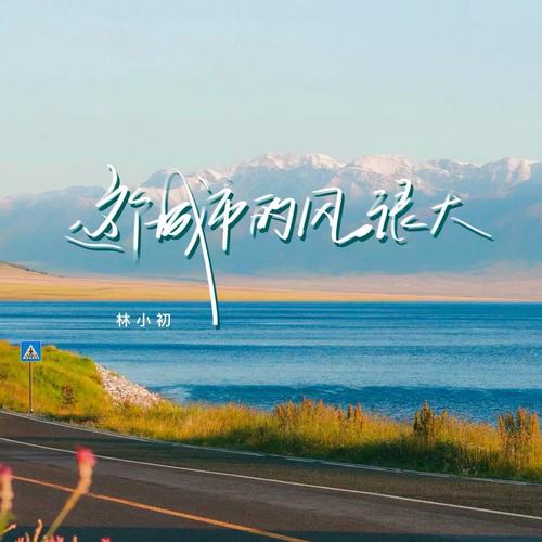 这个城市的风很大