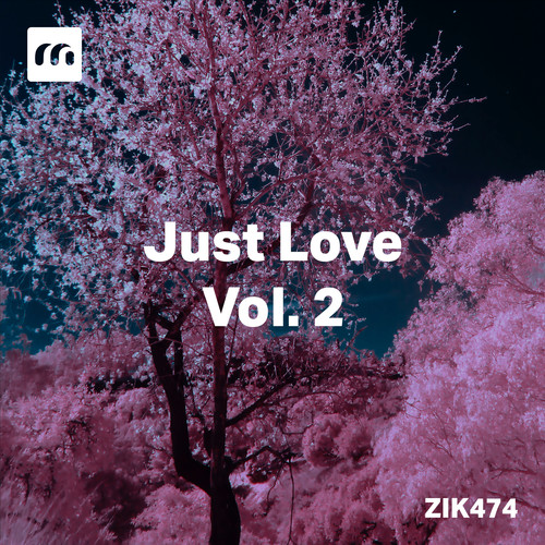 Just Love, Vol. 2