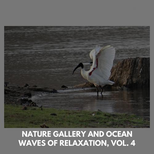 Nature Gallery and Ocean Waves of Relaxation, Vol. 4