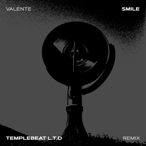 Smile (Templebeat L.T.D. Remix)