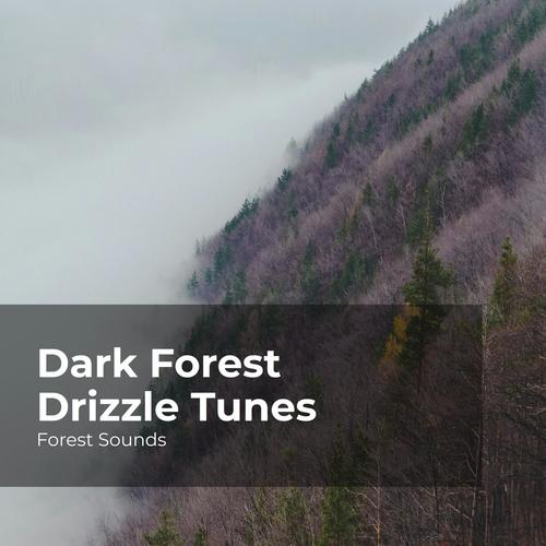 Dark Forest Drizzle Tunes