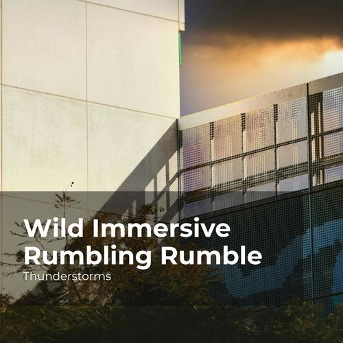 Wild Immersive Rumbling Rumble