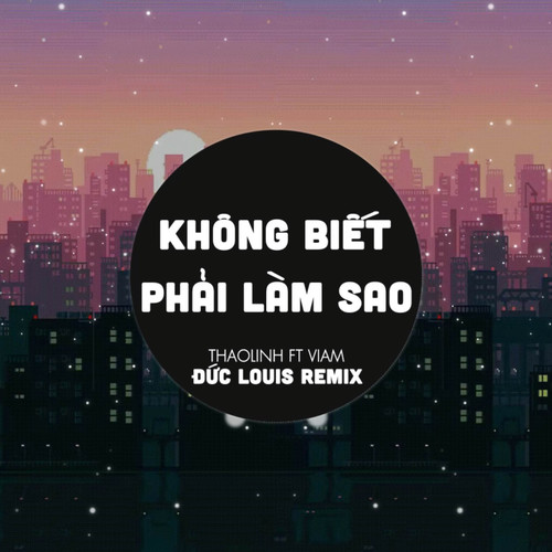 Không Biết Phải Làm Sao (Đức Louis Remix)