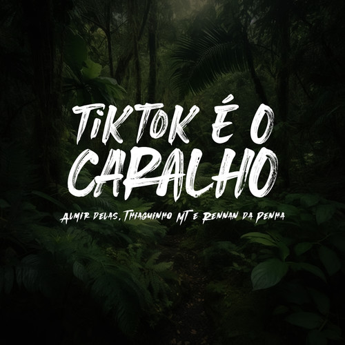 TikTok é o Caralho (Explicit)