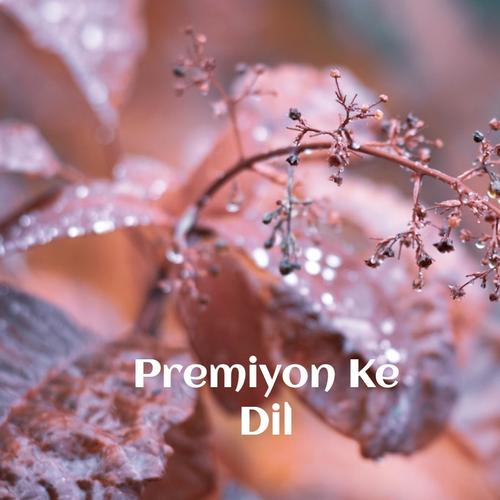 Premiyon Ke Dil