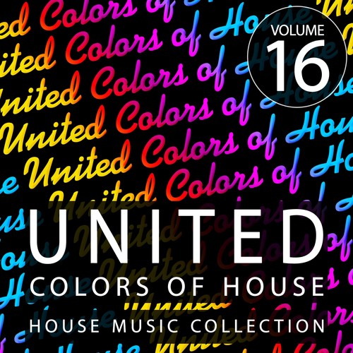 United Colors Of House, Vol. 16 (House Music Collection)