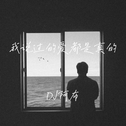 我说过的爱都是真的